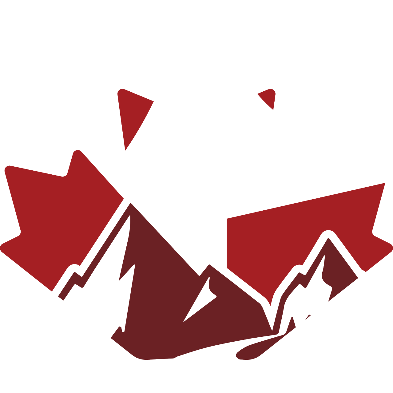 NJRP Icon